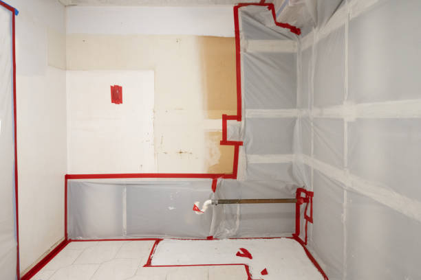 Best Mold Removal for HVAC Installations  in USA